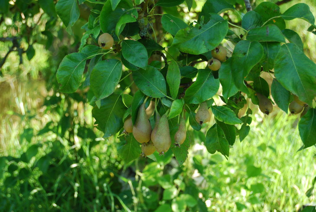 Bed&Brood De Straverdonk Graft Værelse billede