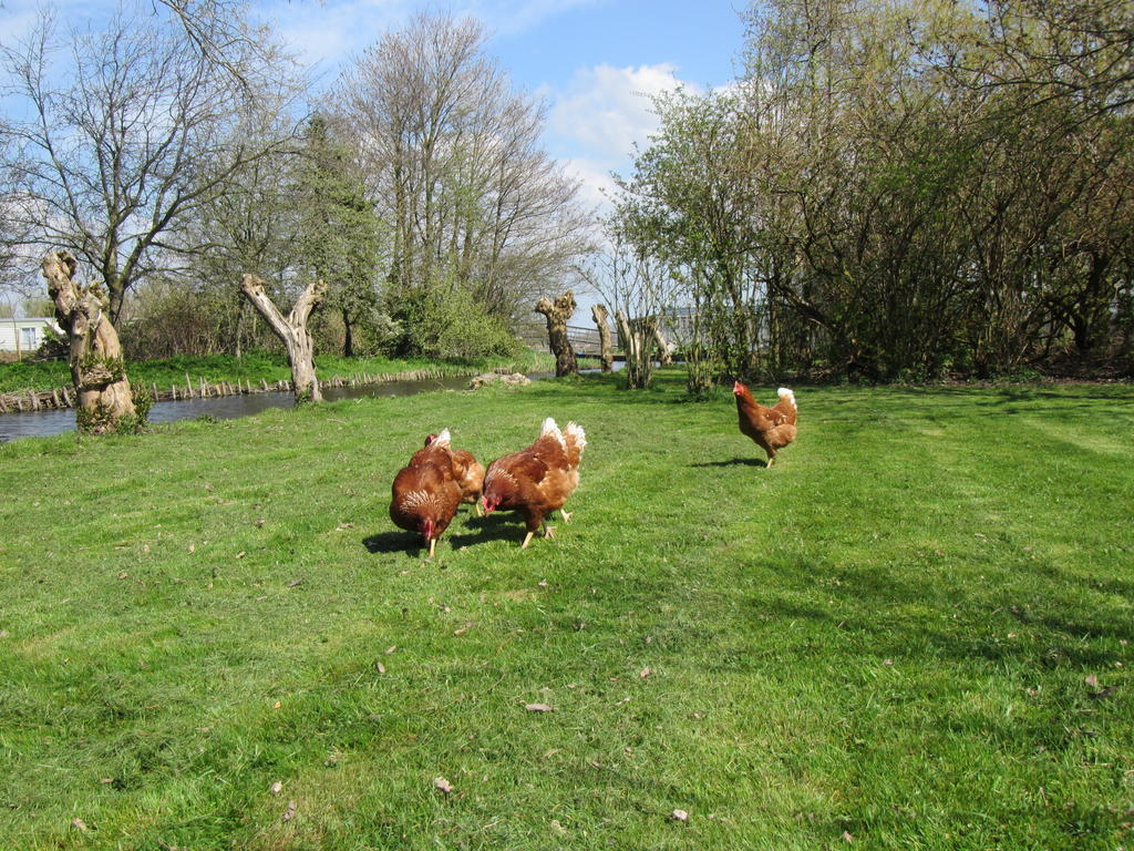 Bed&Brood De Straverdonk Graft Eksteriør billede