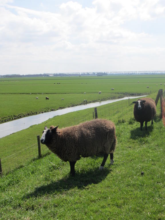 Bed&Brood De Straverdonk Graft Værelse billede