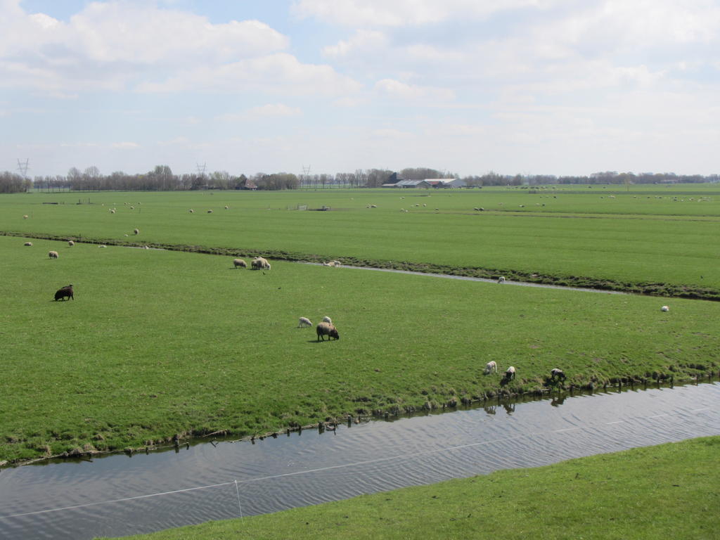 Bed&Brood De Straverdonk Graft Værelse billede