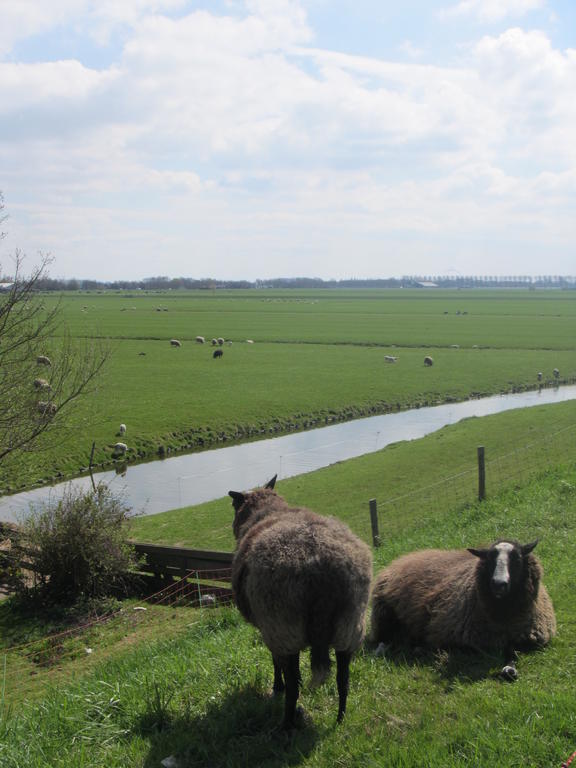 Bed&Brood De Straverdonk Graft Værelse billede